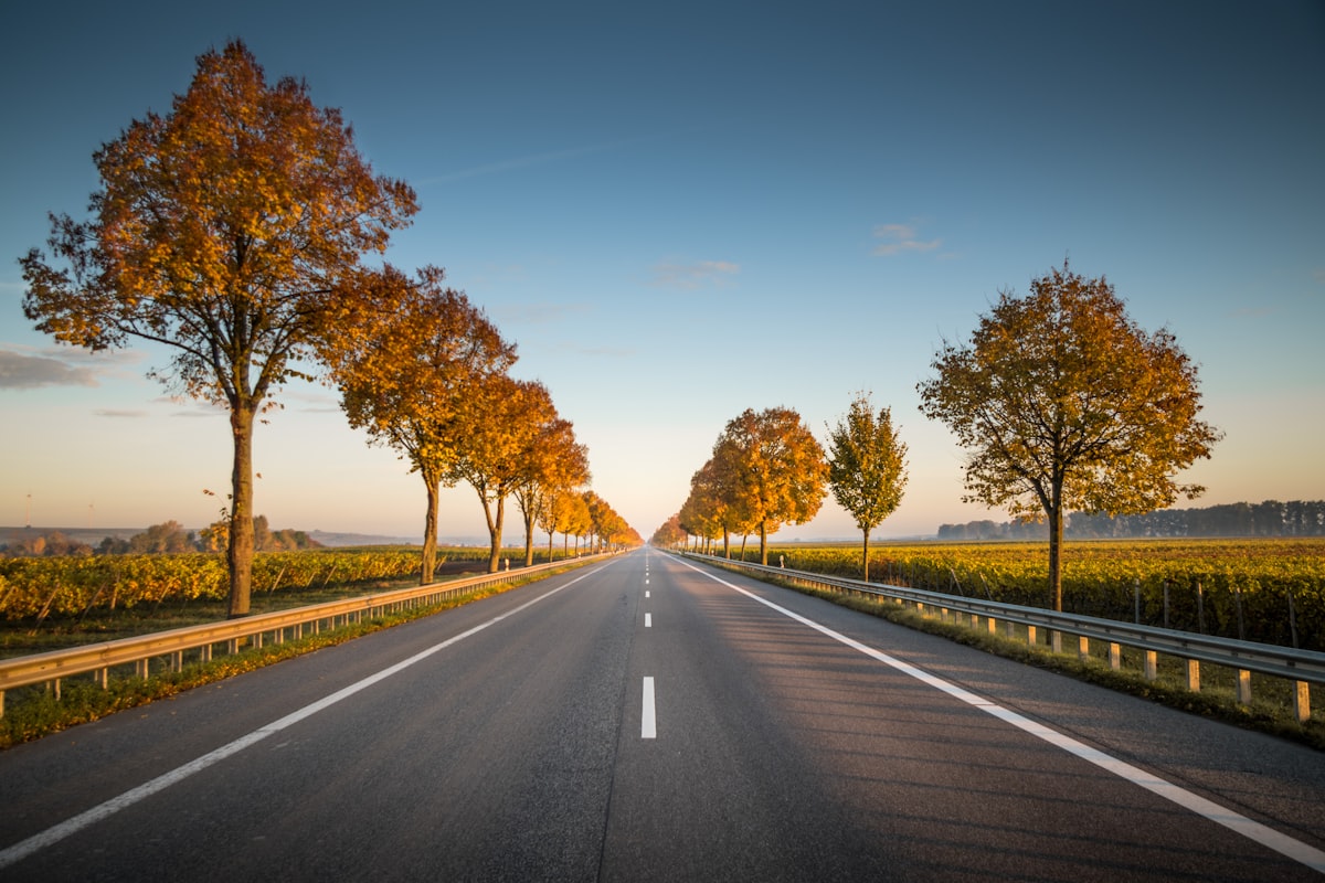 Open road representing driving lessons
